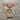 Plate Carrier